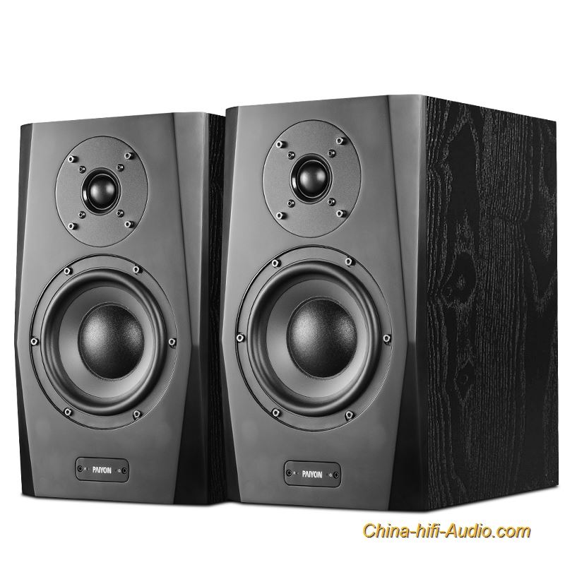 PAIYON A61 active monitor speakers hi fi Bluetooth 2.0 USB coaxial audio