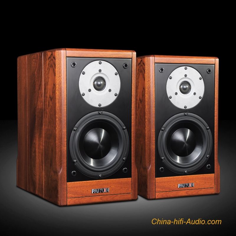 PAIYON P9 HIFI bookshelf speakers audiophile MOREL TICW 638+ ST1108 unit