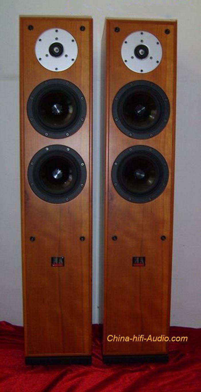 Master The Nightingale Floor standing speakers Loudspeaker pair for HI-FI audio