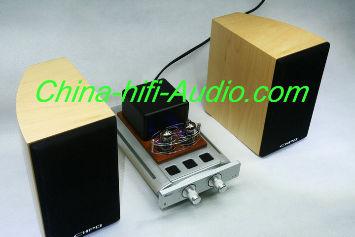 Best Match! QINPU A-3 intergrated amplifier + V-6 hifi speakers
