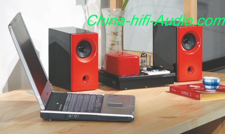 Best Match! QINPU Q2 intergrated amplifier + MG-2 hifi speakers